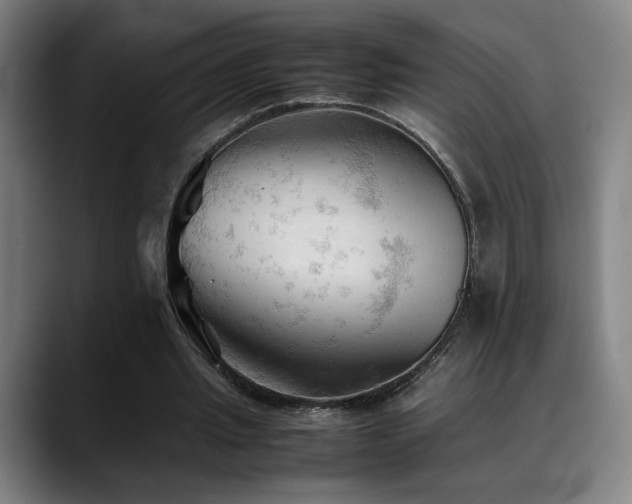X0000089350437200706151104