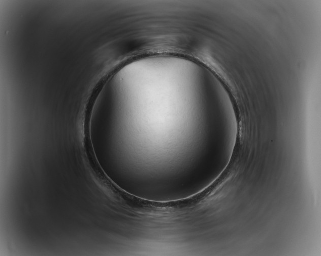 X0000089350438200706151104