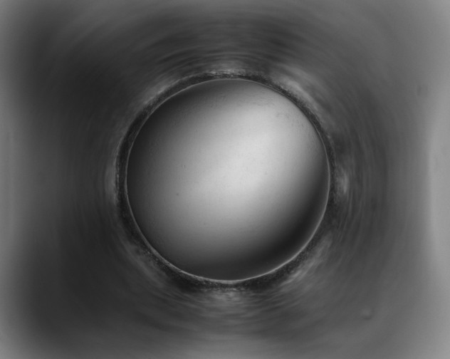 X0000089350439200706151104
