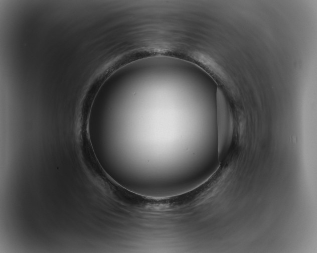 X0000089350440200706151104