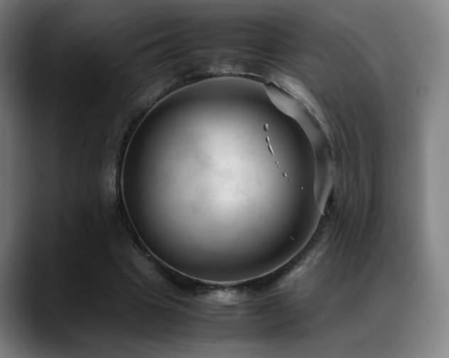 X0000089350441200706151104