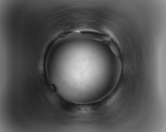 X0000089350443200706151104