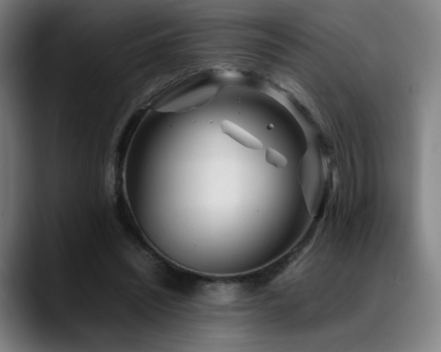 X0000089350444200706151104