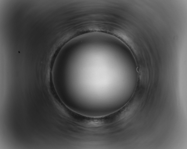 X0000089350445200706151104