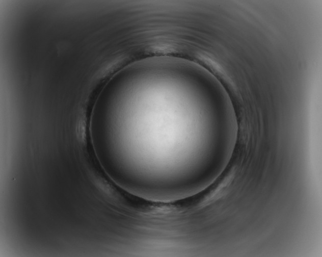 X0000089350446200706151104