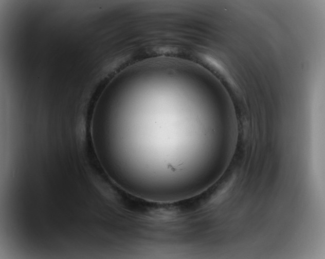 X0000089350447200706151104