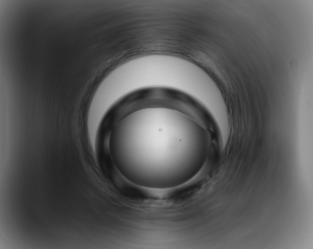 X0000089350448200706151104