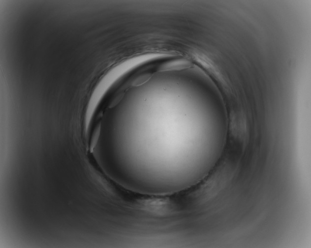 X0000089350449200706151104