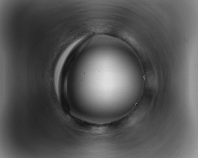 X0000089350450200706151104