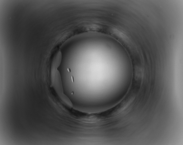 X0000089350451200706151104