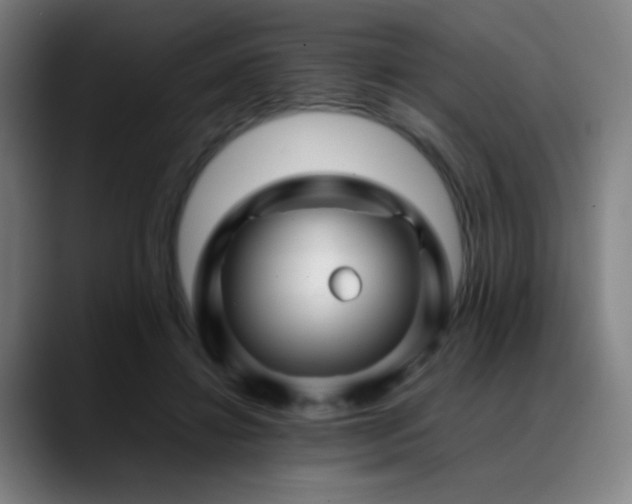X0000089350452200706151104