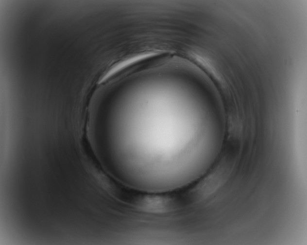 X0000089350453200706151104