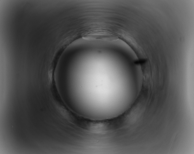 X0000089350454200706151104