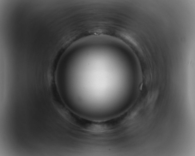 X0000089350455200706151104