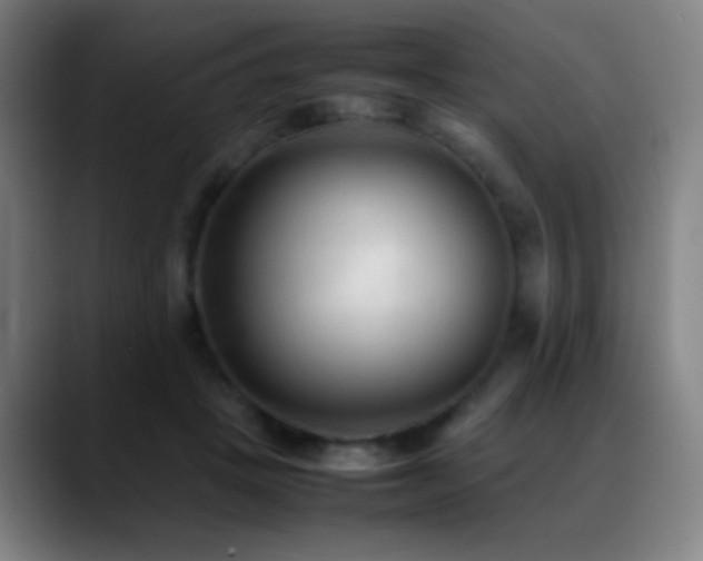 X0000089350457200706151104