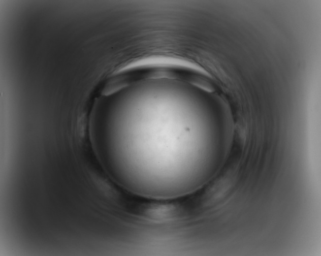 X0000089350458200706151104