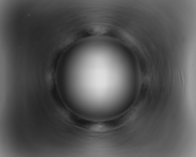 X0000089350460200706151104