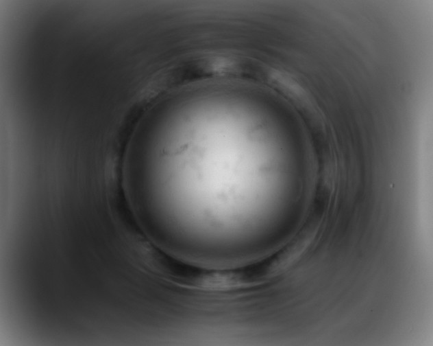 X0000089350461200706151104