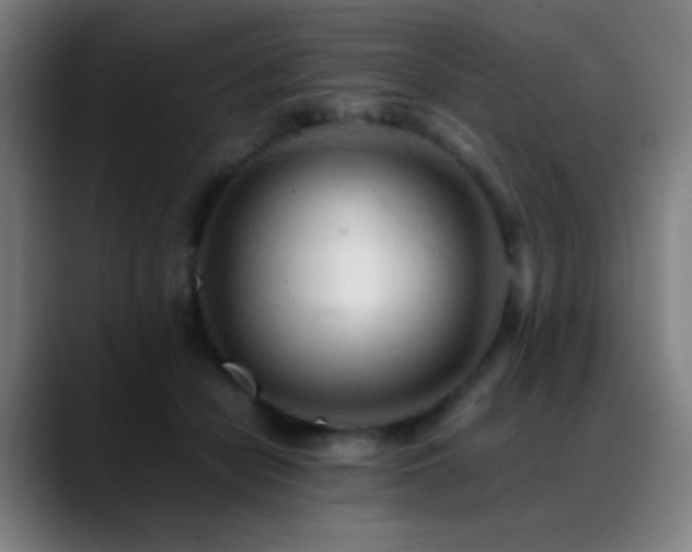 X0000089350462200706151104