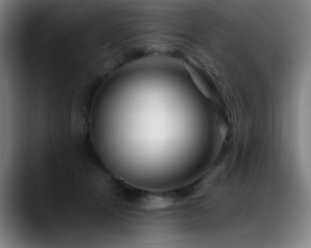 X0000089350464200706151104