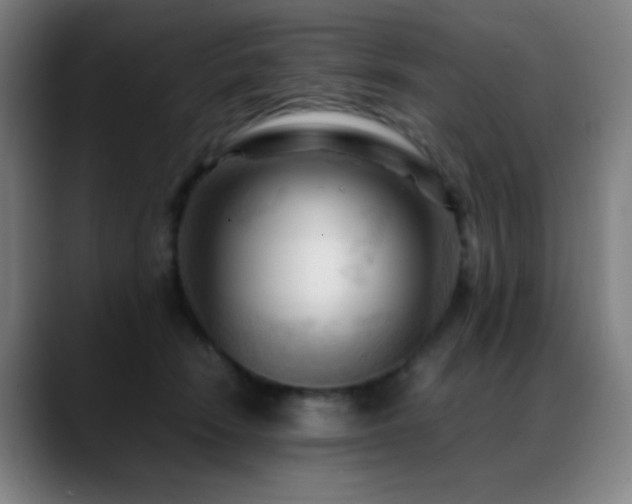 X0000089350466200706151104