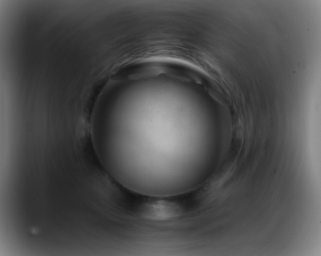 X0000089350467200706151104