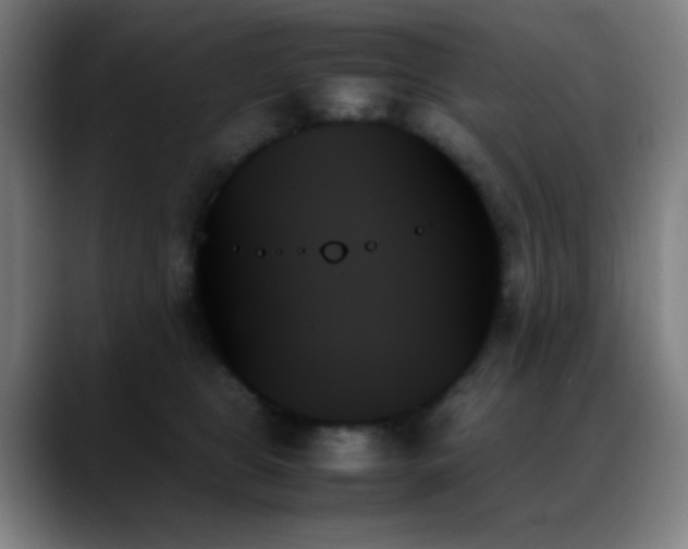 X0000089350469200706151104