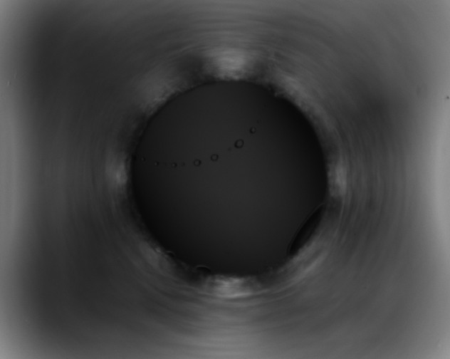 X0000089350472200706151104