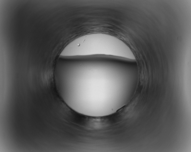 X0000089350473200706151104