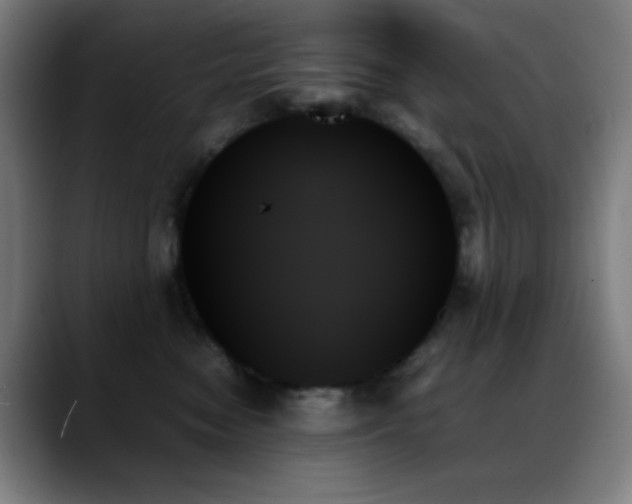 X0000089350474200706151105