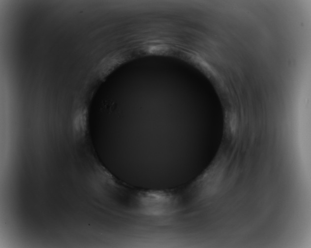 X0000089350475200706151105