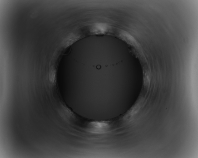 X0000089350477200706151105