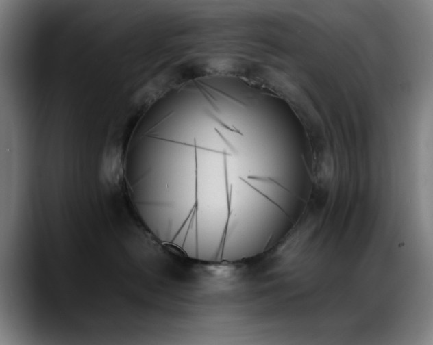 X0000089350478200706151105