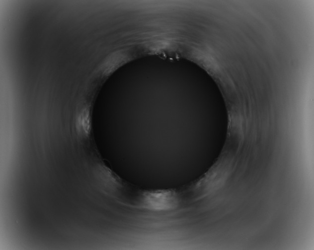 X0000089350479200706151105