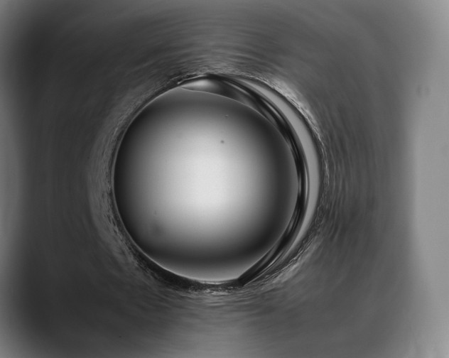 X0000089350481200706151104