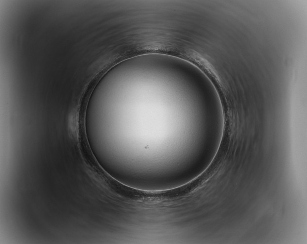 X0000089350482200706151104