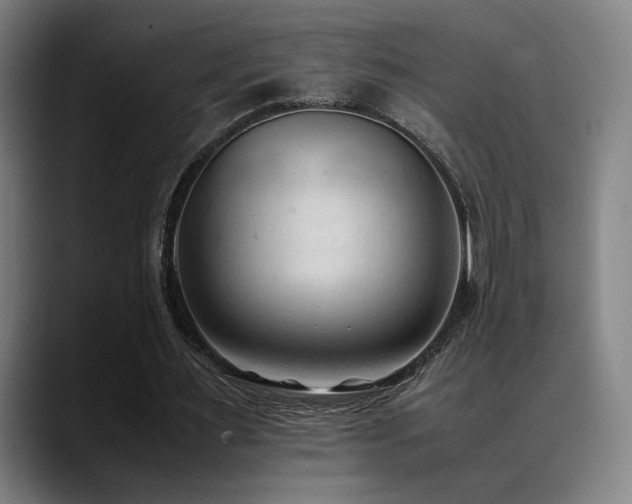 X0000089350483200706151104