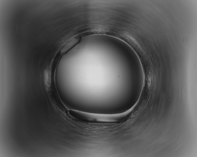 X0000089350484200706151104