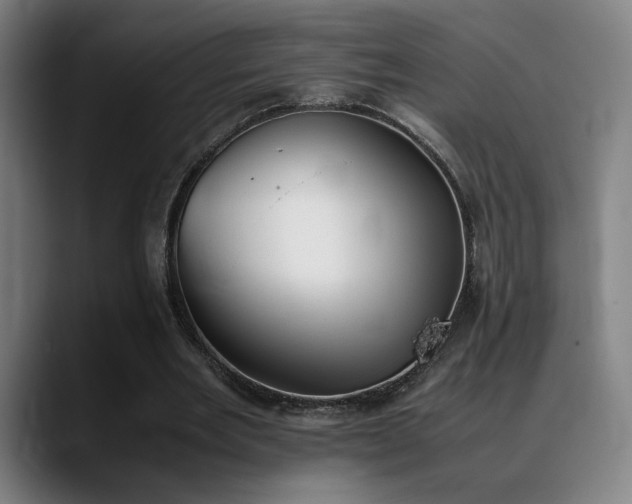 X0000089350485200706151104
