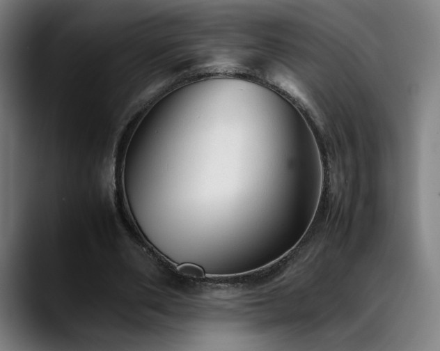 X0000089350486200706151104
