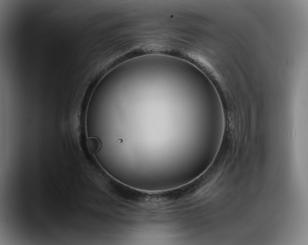 X0000089350487200706151104