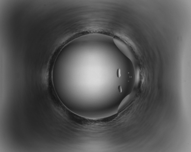 X0000089350488200706151104