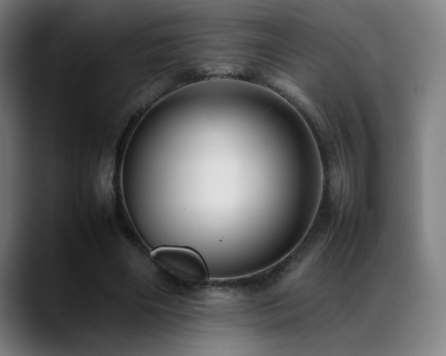 X0000089350490200706151104