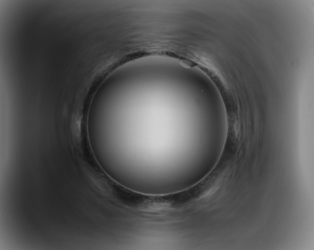 X0000089350491200706151104