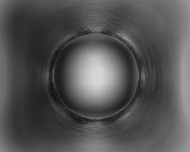 X0000089350492200706151104
