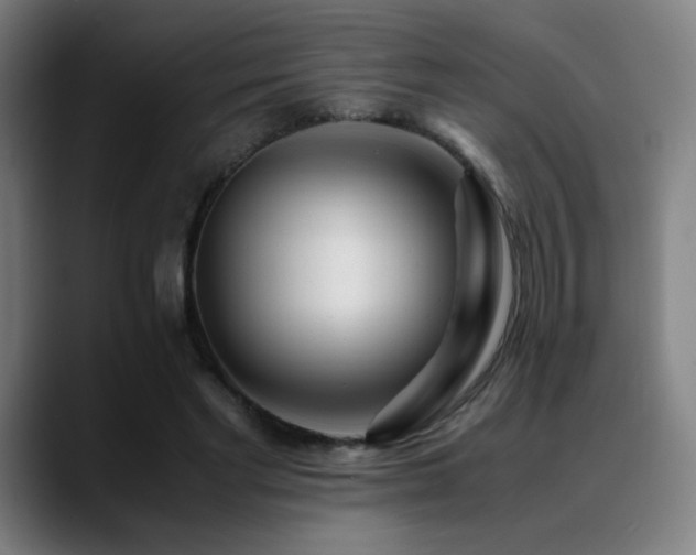 X0000089350493200706151104
