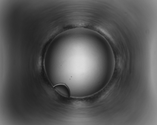 X0000089350494200706151104