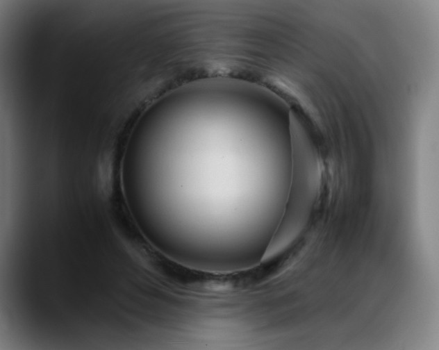 X0000089350496200706151104