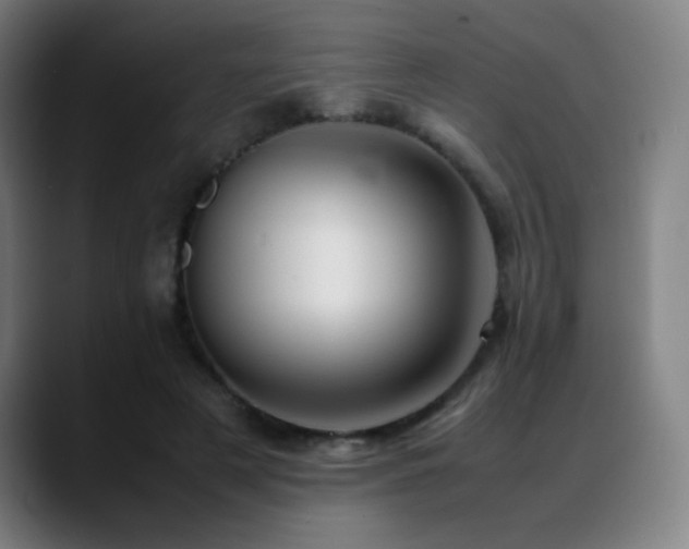 X0000089350497200706151104