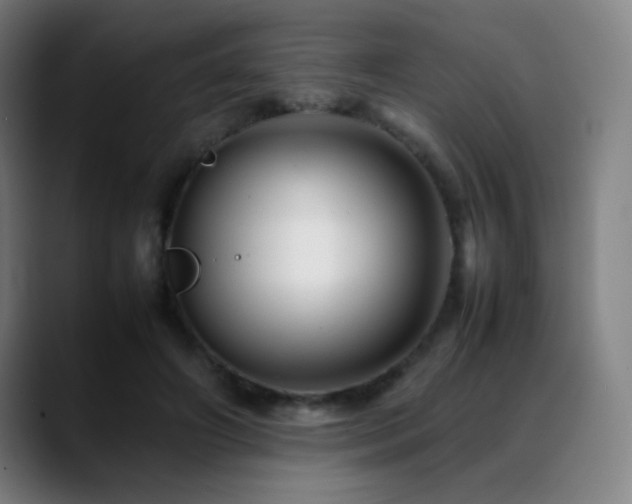 X0000089350498200706151104